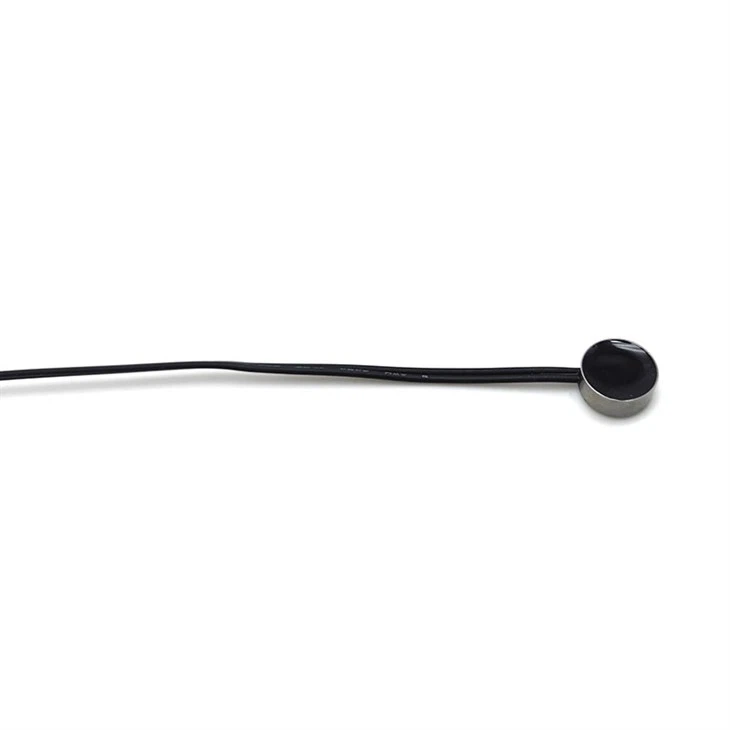 10KΩ 3950K Temperature Sensor
